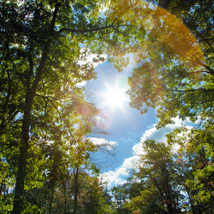 人妻japanesepee护士
